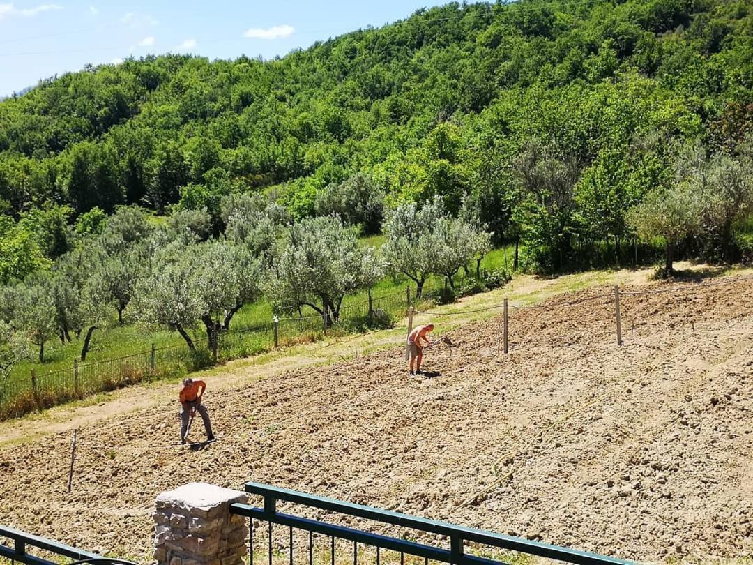 Agriturismo Olimpo Villa Santa Maria  Exterior foto